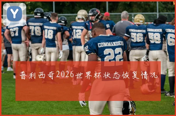 普利西奇2026世界杯状态恢复情况
