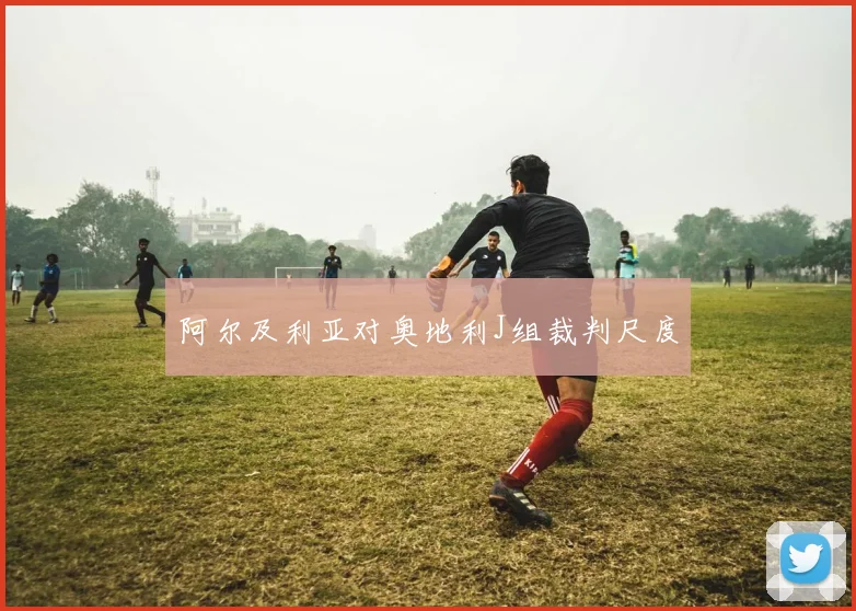 阿尔及利亚对奥地利J组裁判尺度