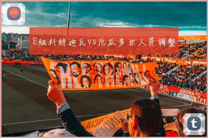 E组科特迪瓦vs厄瓜多尔人员调整