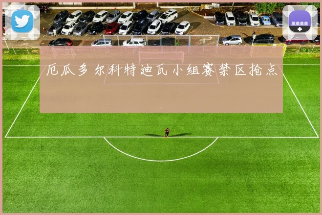 厄瓜多尔科特迪瓦小组赛禁区抢点