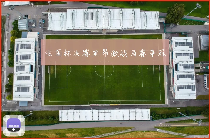 法国杯决赛里昂激战马赛争冠