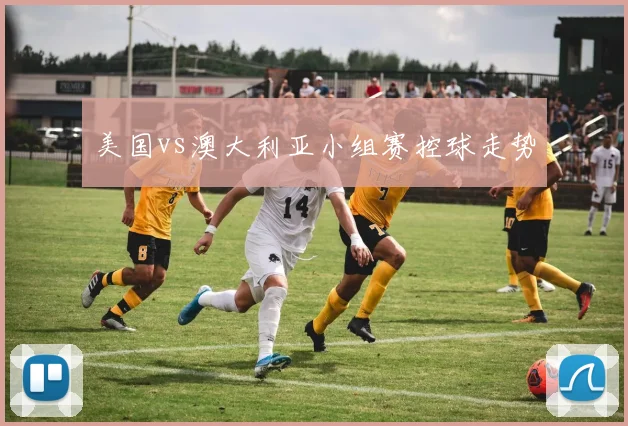 美国vs澳大利亚小组赛控球走势