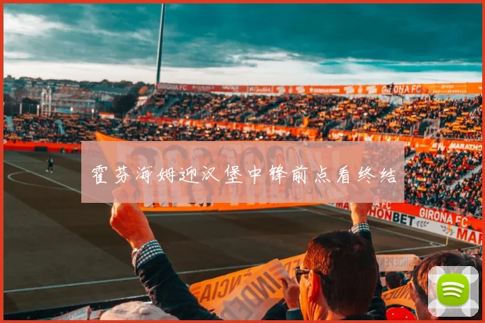 霍芬海姆迎汉堡中锋前点看终结