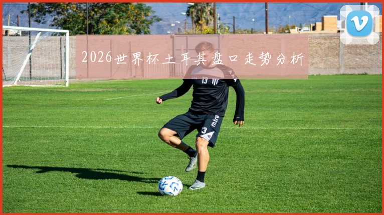 2026世界杯土耳其盘口走势分析