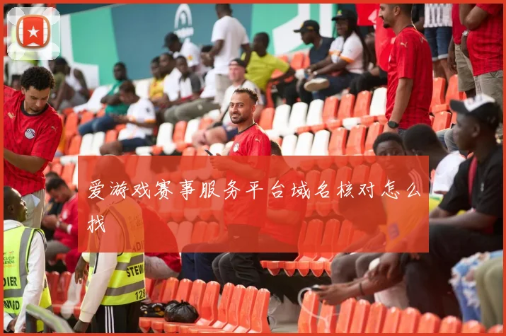 爱游戏赛事服务平台域名核对怎么找